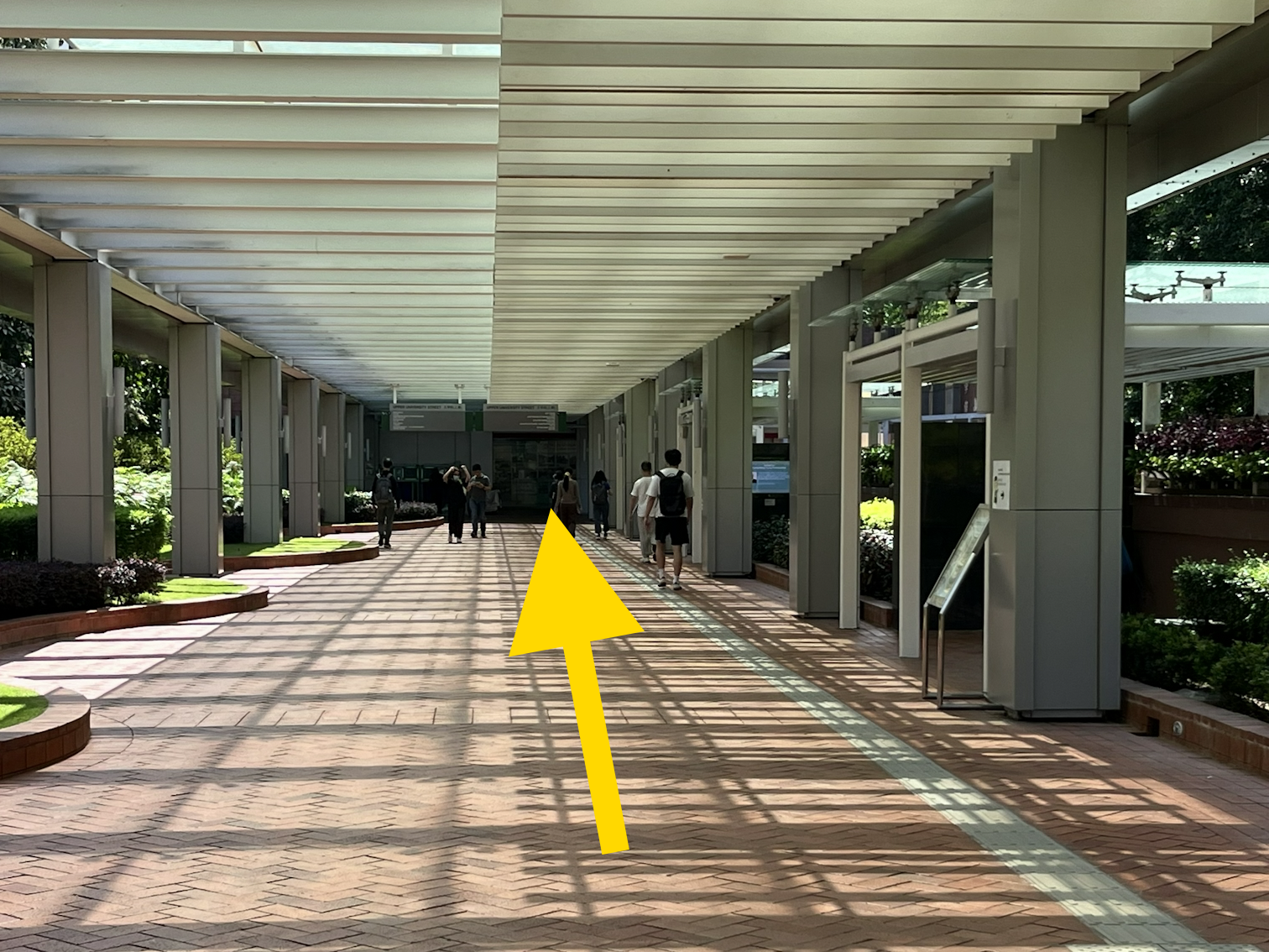4. Walk along the “University Street”